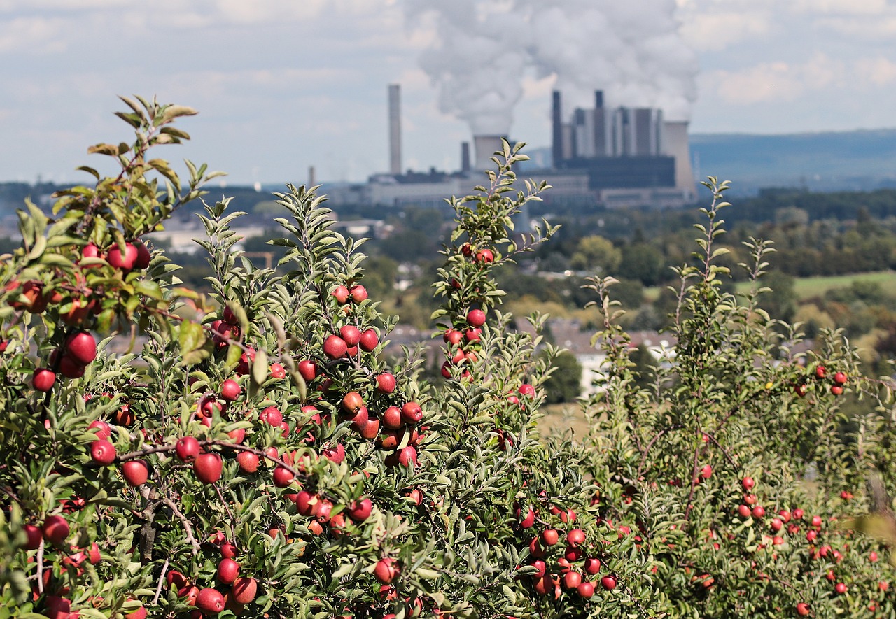 The Future of Coal in a Climate-Conscious World